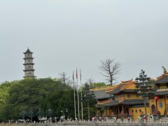 -江心屿景区