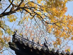 -灵谷景区