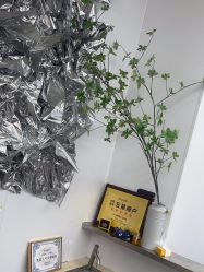 -茶发Salon·烫发染发理发