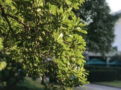 -上海虹桥迎宾馆