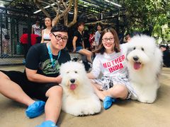 -TrueLove @ Neverland (Husky Cafe)