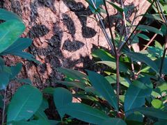 -宁波市保国寺古建筑博物馆