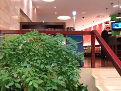 -上海浦东丽晟假日酒店-多瑙河全日餐厅