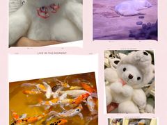 -上海海昌海洋公园