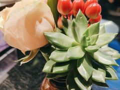 -晓粤·惹味粤菜(万菱汇店)