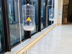 -上海崇明金茂凯悦酒店