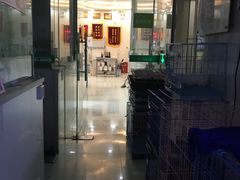 -瑞鹏宠物医院·微创内窥镜·骨外科·牙科(翠竹分院)