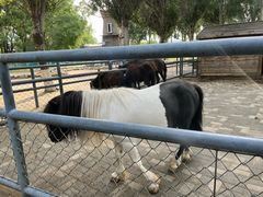 -长白岛森林公园