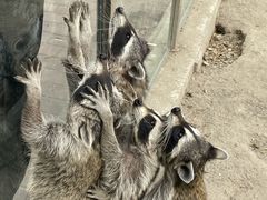 -水上乐园·欢乐世界