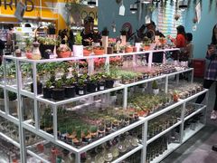 -KKV(深圳宏发大仟里店)