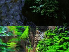 -京东石林峡风景区