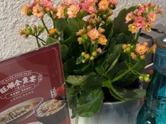 -旺顺阁鱼头泡饼(小红门店)