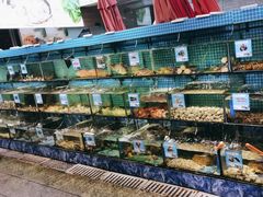 -范饭椰林川湘味海鲜·椰子鸡(三亚湾椰梦长廊店)