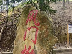 -佛山市三水区大南山森林公园