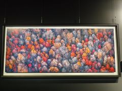 -罗红摄影艺术馆