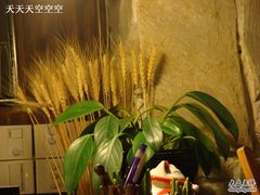 这小穗子~这么随意的一放，怎么就那么有范-1013咖啡书吧(兰庭国际店)