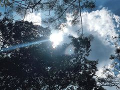 -人民公园(罗湖区)