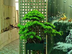 -洞背山庄(洞背院区式管理小区店)