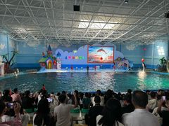 -蓬莱欧乐堡海洋极地世界