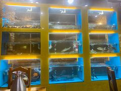 -淳安二十八道·美食汇·淳鱼馆(阳光路店)