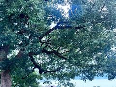 -东钱湖旅游度假区