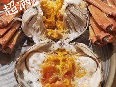 大闸蟹-必点海鲜·鲅鱼水饺(鞍山西道店)