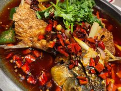 -新渝城·川菜·火锅(区庄店)