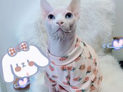 -美迦爱-牙专科·兔科·骨科诊疗中心(北苑店)
