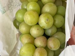 -马陆小张葡萄园农家乐