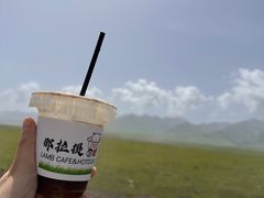 -新疆那拉提国家旅游度假区
