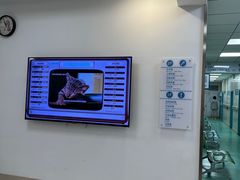 -北京观赏动物医院·24小时大型综合·猫专科·异宠专科