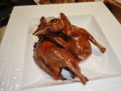 红烧乳鸽-陶陶居酒家(环市东店)