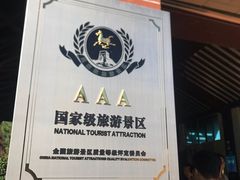 -广东惠东海龟国家级自然保护区