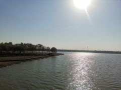 -西青郊野公园