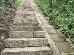 -北京十三陵国家森林公园蟒山景区