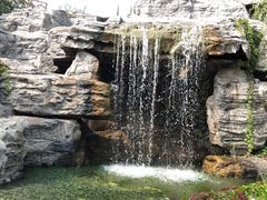 -静之湖湖畔餐厅