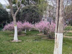 -经纬广场