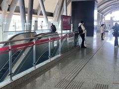 -达美乐比萨(墨玉南路店)