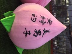 田园东方-田园东方蜜桃村的田野营地