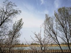 -野鸭湖国家湿地公园