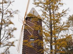 -昆山城市生态森林公园