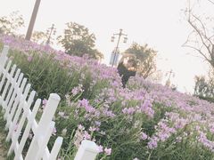-七彩云南古滇温泉山庄