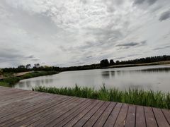 -东郊湿地公园