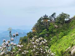 -九华山风景区