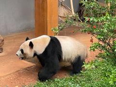 -云南野生动物园