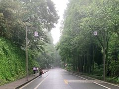 -青城山