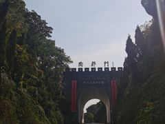 -宜兴龙背山森林公园