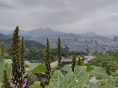 -大罗山风景区