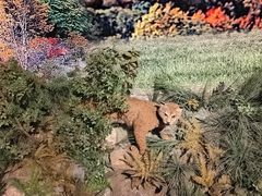 -温州博物馆