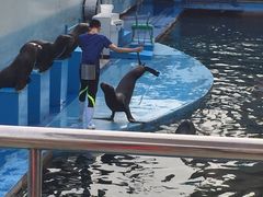 -秦皇岛乐岛海洋王国